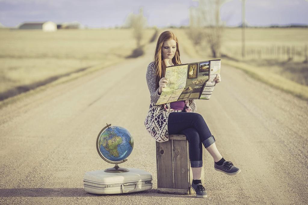 Traveler planning and key factors visualization